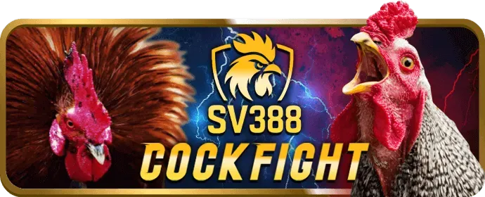 rikvip nổ hũ Hướng Dẫn Chơi
